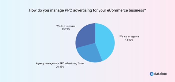 6 Best Practices for Effective Ecommerce PPC Management | Databox