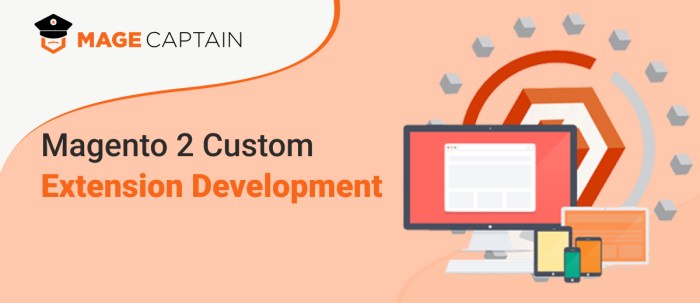 Magento 2 Custom Extension Development | MageCaptain