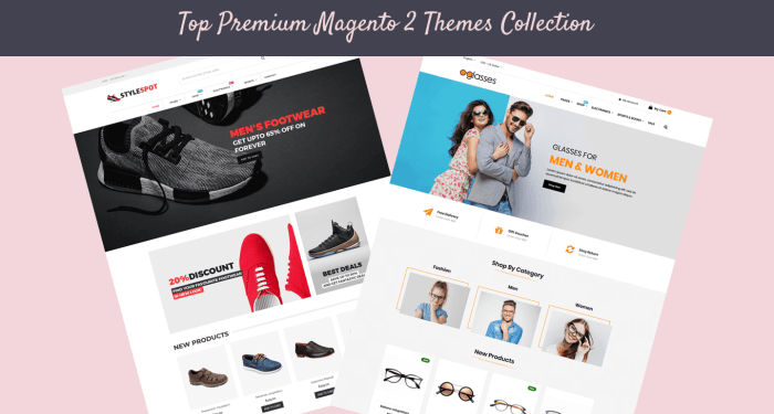 Top Premium Magento 2 Themes Collection For Different Categories